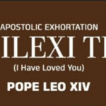 pope-book
